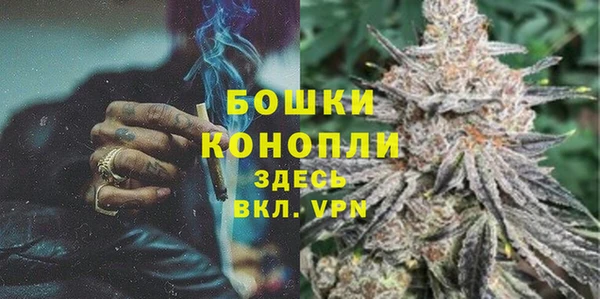 спиды Богданович