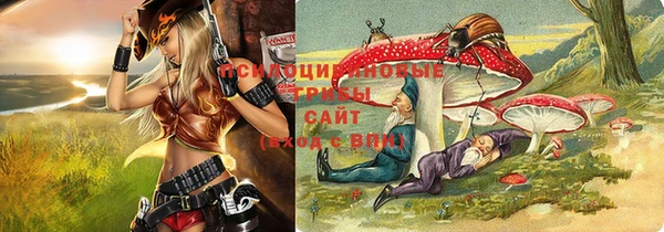 ПСИЛОЦИБИНОВЫЕ ГРИБЫ Балабаново