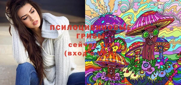 apvp Баксан