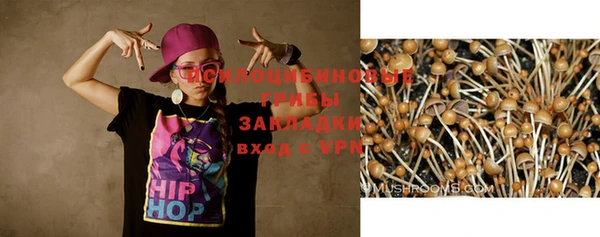 ПСИЛОЦИБИНОВЫЕ ГРИБЫ Балабаново