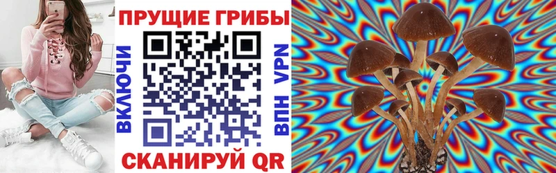 Псилоцибиновые грибы Psilocybe  Демидов 